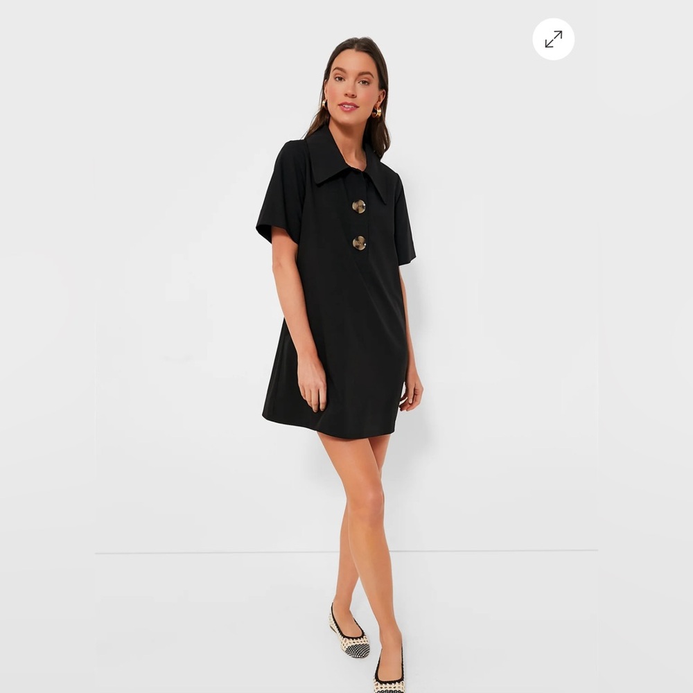 Tuckernuck Scout Black A-Line Dress with Button Detail